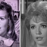 Jenny Lee Arness: A Heartfelt Look into the Life of a Hollywood Daughter