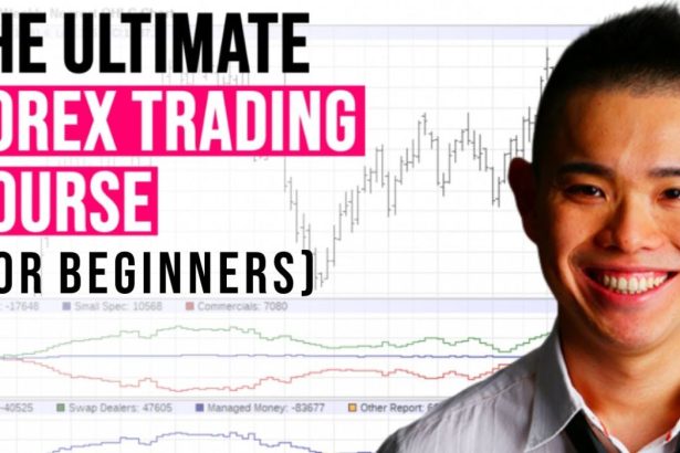 startupbooted forex