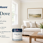 White Dove Benjamin Moore: Color, LRV, Undertones, and Best Uses