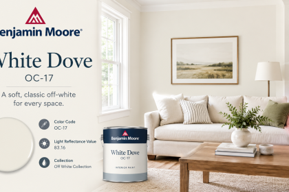 White Dove Benjamin Moore: Color, LRV, Undertones, and Best Uses